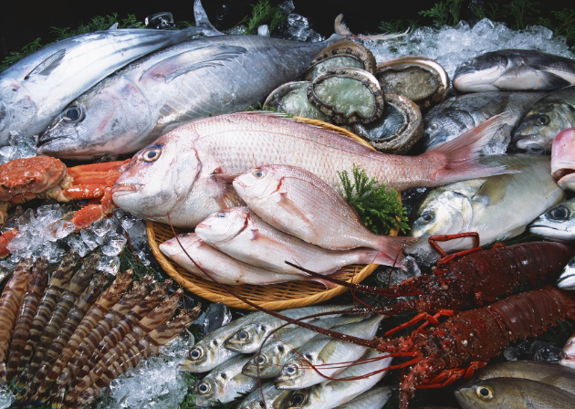 cách bảo quản hải sản