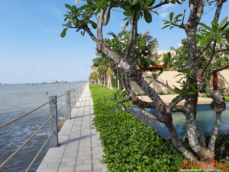 marina bay vung tau resort